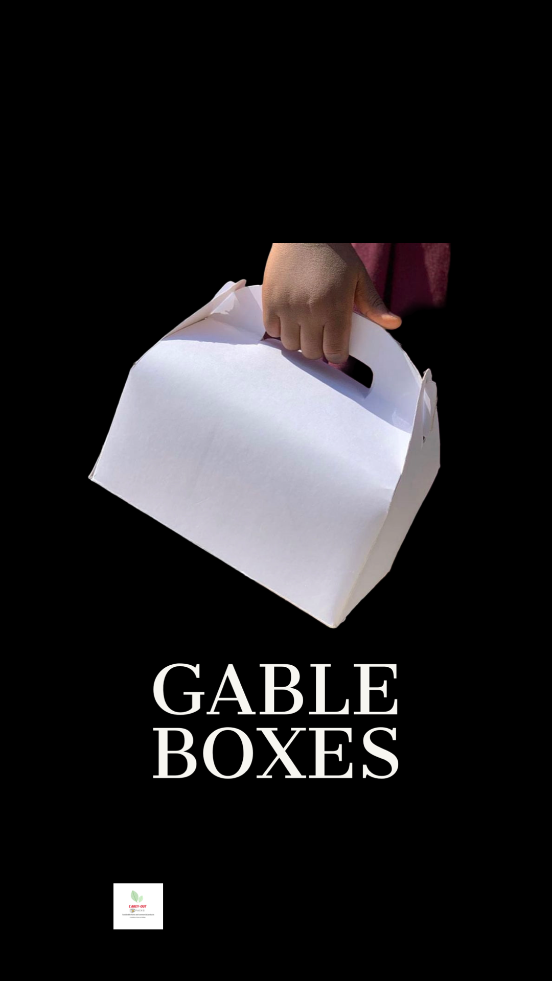 TAKEOUT GABLE BOXES - PLAIN WHITE _4