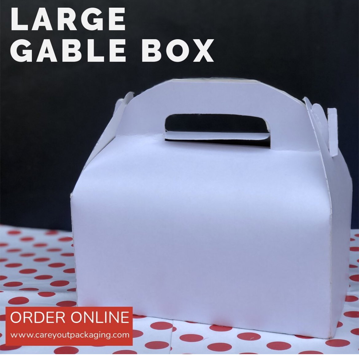 TAKEOUT GABLE BOXES - PLAIN WHITE _2