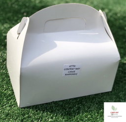 TAKEOUT GABLE BOXES - PLAIN WHITE 