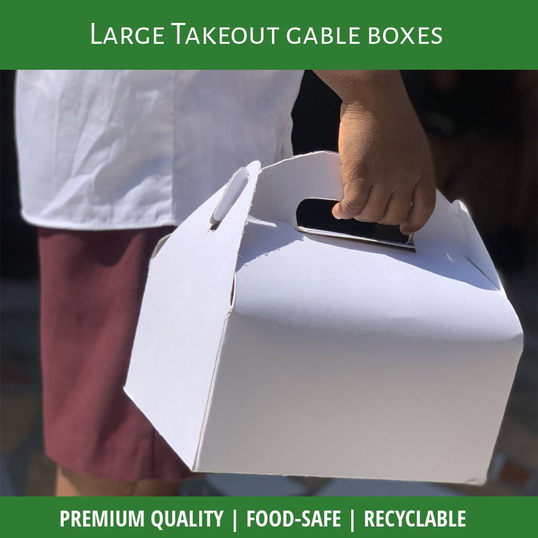 TAKEOUT GABLE BOXES - PLAIN WHITE _12