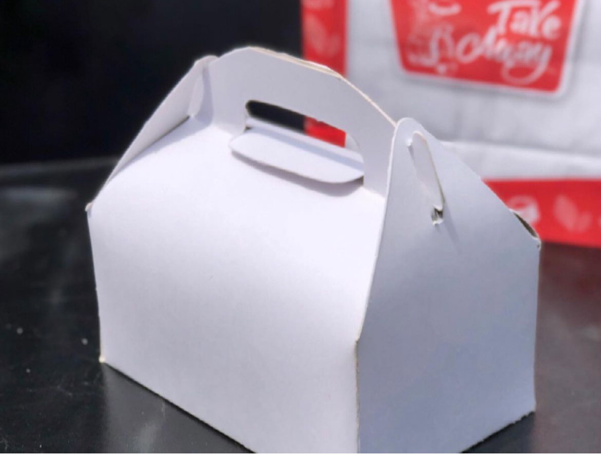 TAKEOUT GABLE BOXES - PLAIN WHITE _7