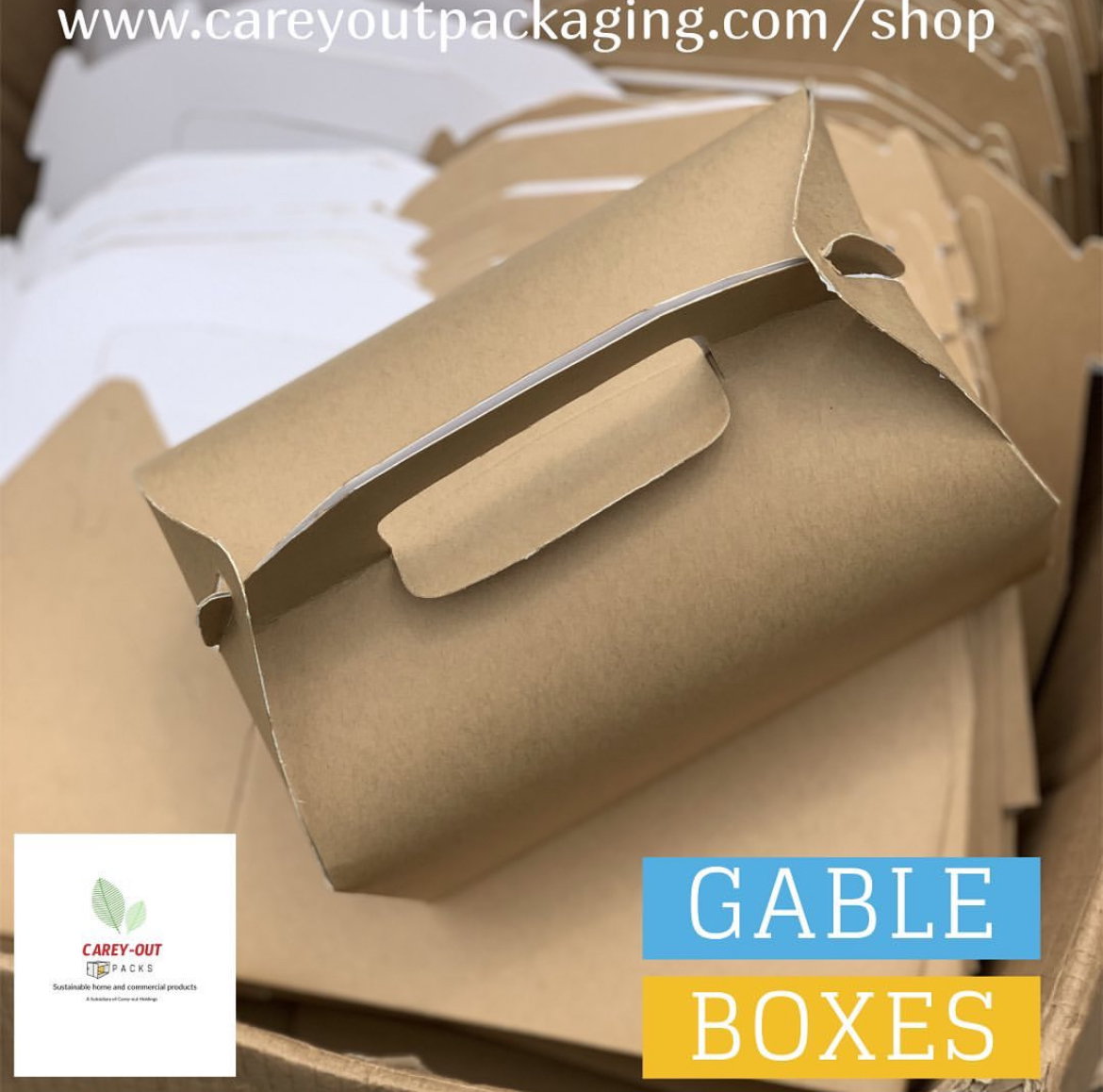 TAKEOUT GABLE BOXES - PLAIN BROWN - _4