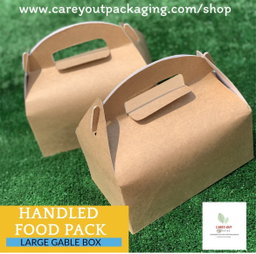 TAKEOUT GABLE BOXES - PLAIN BROWN - 
