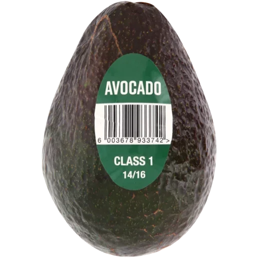 Large Avocado_0