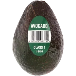Large Avocado