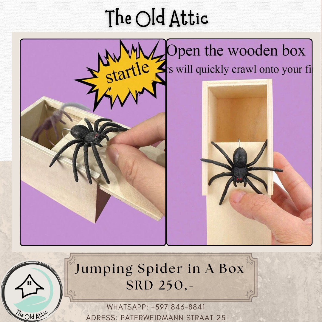 Jumping spider in a box