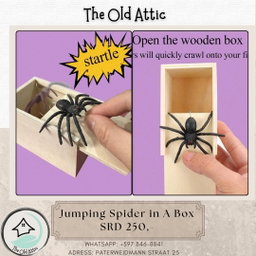 Jumping spider in a box 