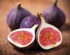 Fig _1
