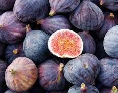 Fruits 
