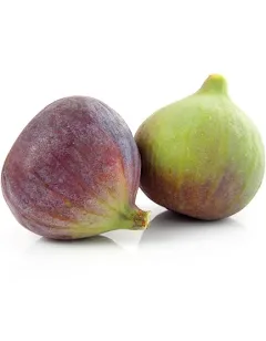 Fig 