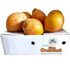 Coconut Sri Lankan _2