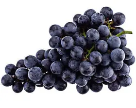 Black Grapes _0