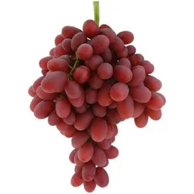 Red Grapes š