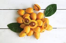 Loquat fruit _1