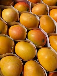 Mango (Colombia)
