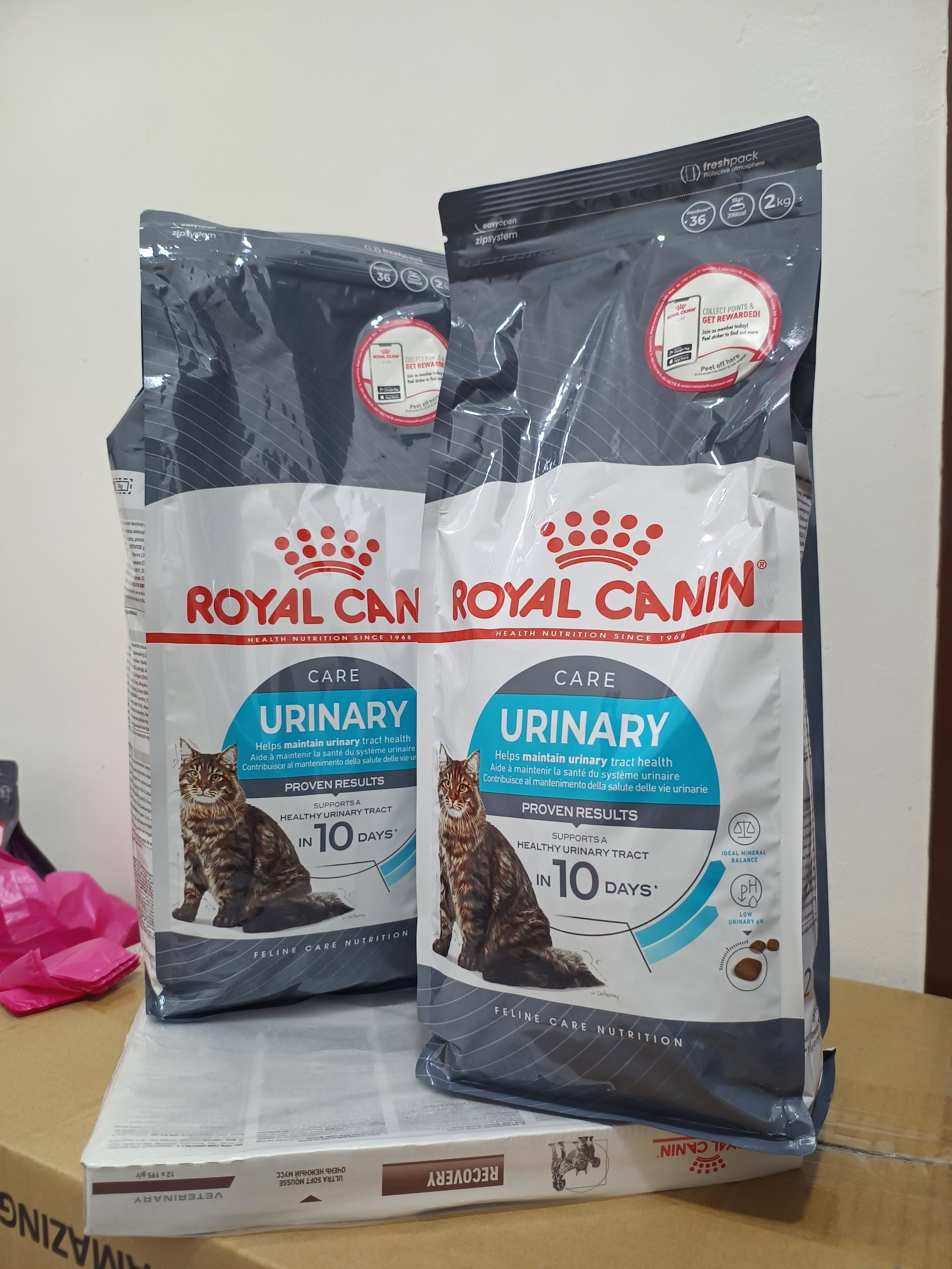 Royal Canin (Original Pack) - #2_4