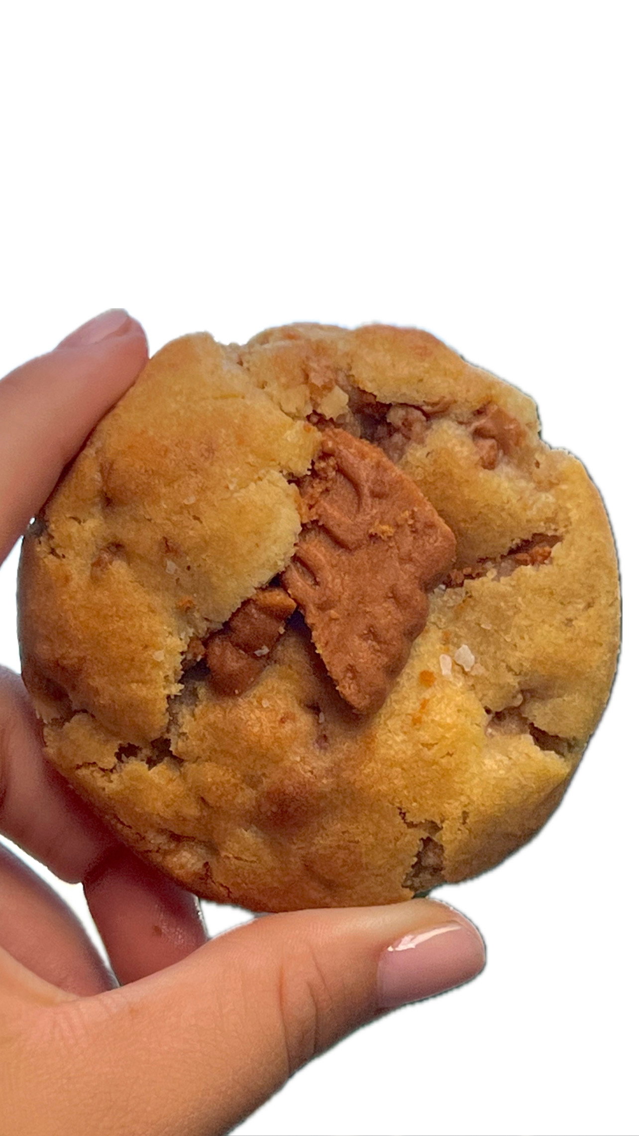 Crunchy Biscoff Cookie_0