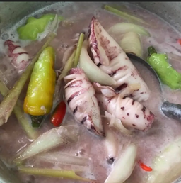 Sotong Putih