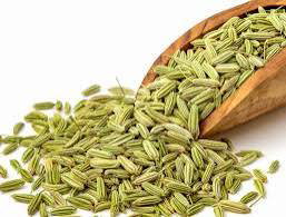 Fennel