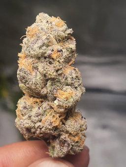 Gorilla Cookies 