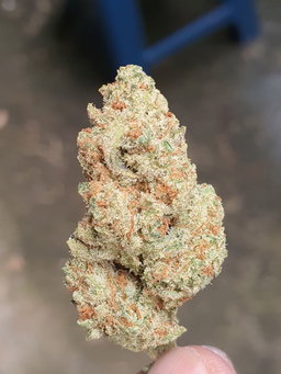 Greendoor/Tunnel Grown 