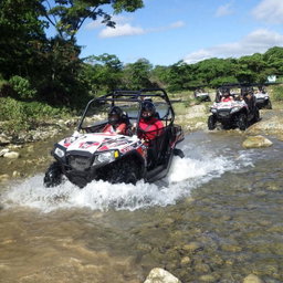 Buggy Tour