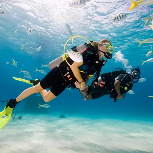 Diving - Daytime Dive_0