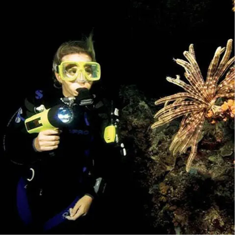 Diving - Nighttime Dive_0
