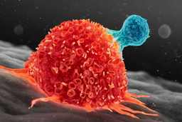 Cancer
