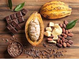 Manteca de cacao 1oz