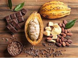 Manteca de cacao 1oz