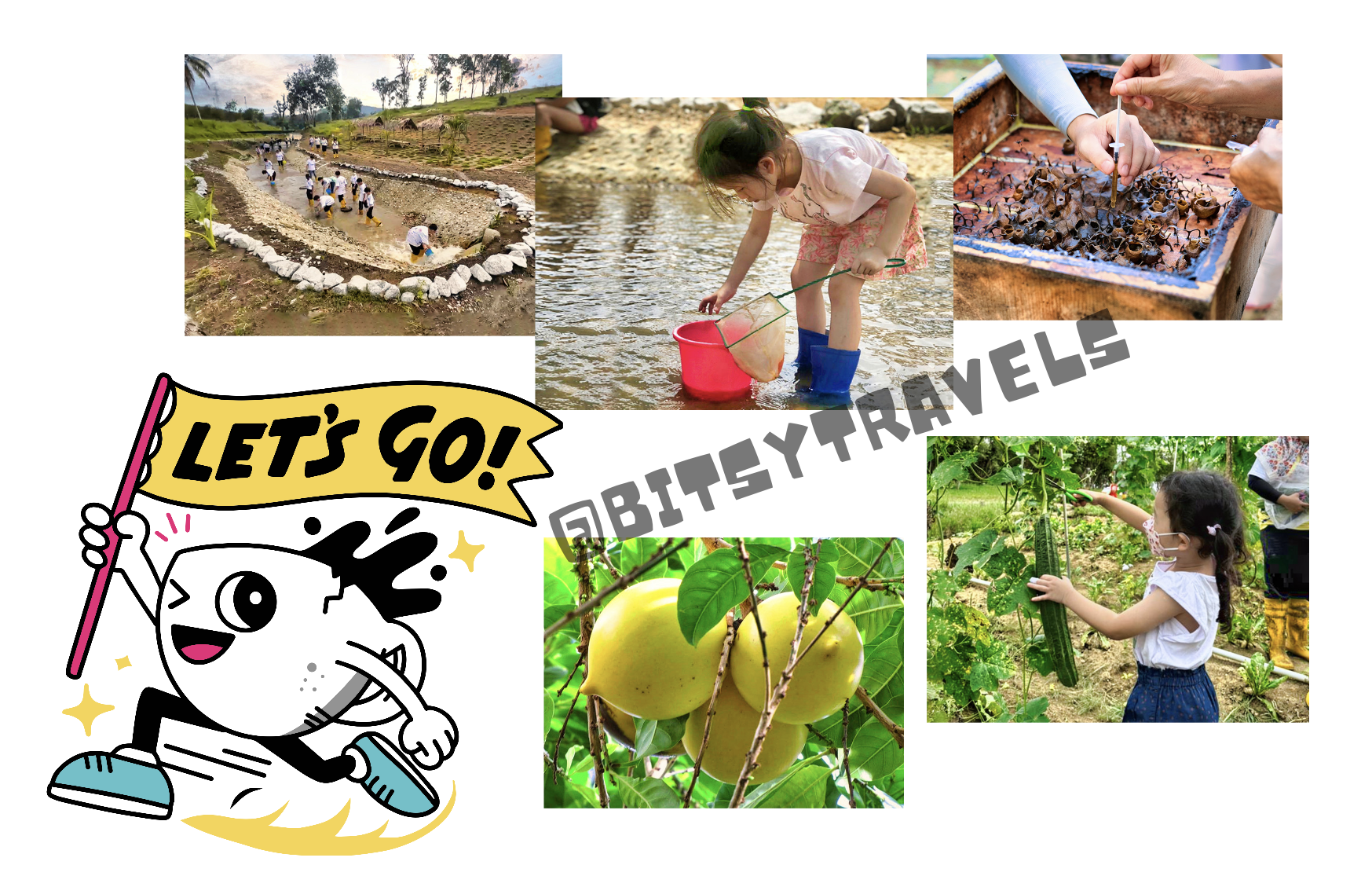 Senai Farm Tour (Past Event)_0