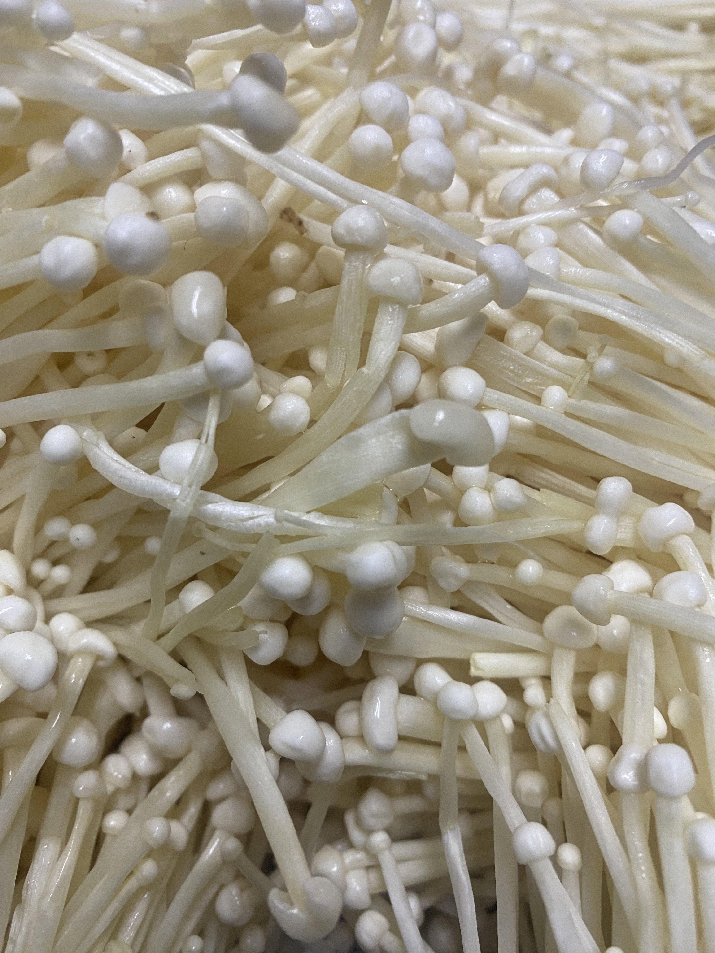 Selamat Datang ke Rumah Enoki Goreng_2