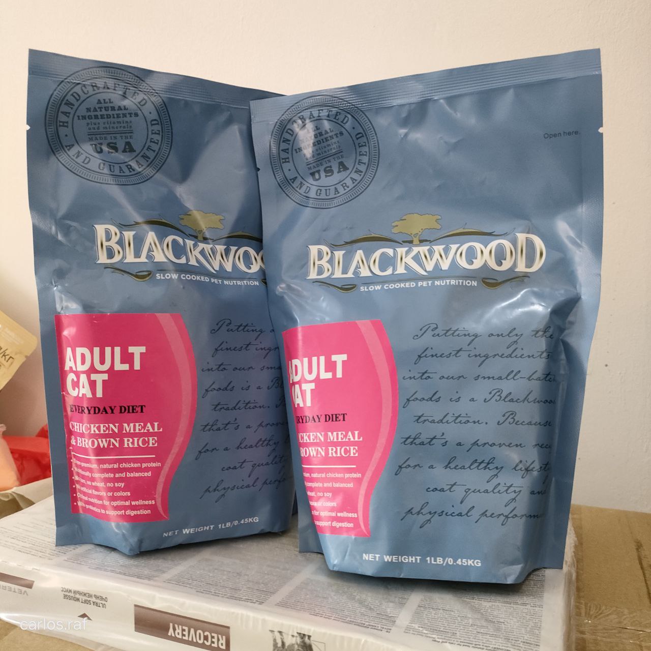 USA Blackwood - Kitten/Adult/Original/Indoor_2