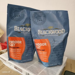 USA Blackwood - Kitten/Adult/Original/Indoor