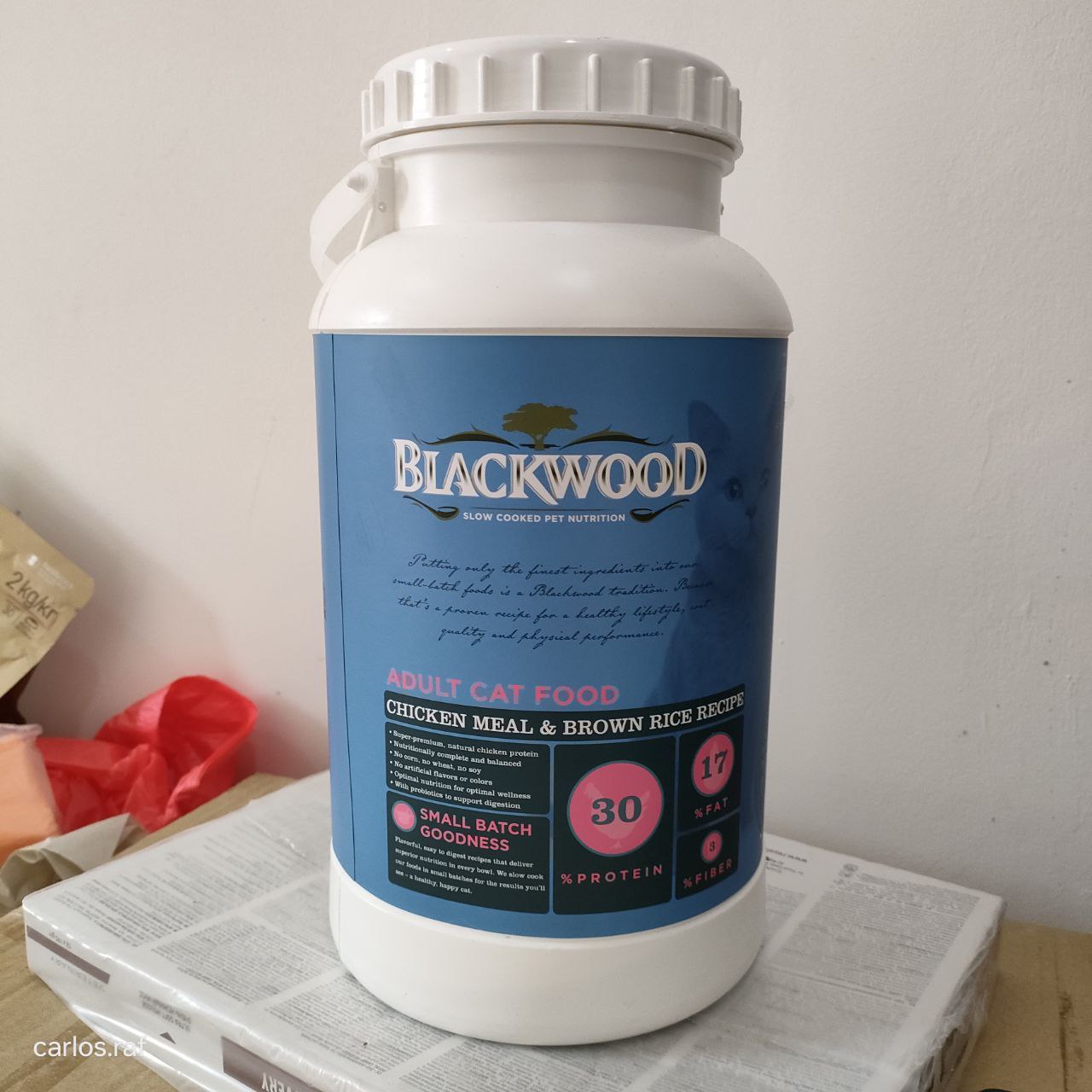 USA Blackwood - Kitten/Adult/Original/Indoor_7