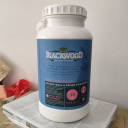 USA Blackwood - Kitten/Adult/Original/Indoor