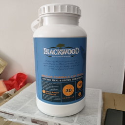 USA Blackwood - Kitten/Adult/Original/Indoor