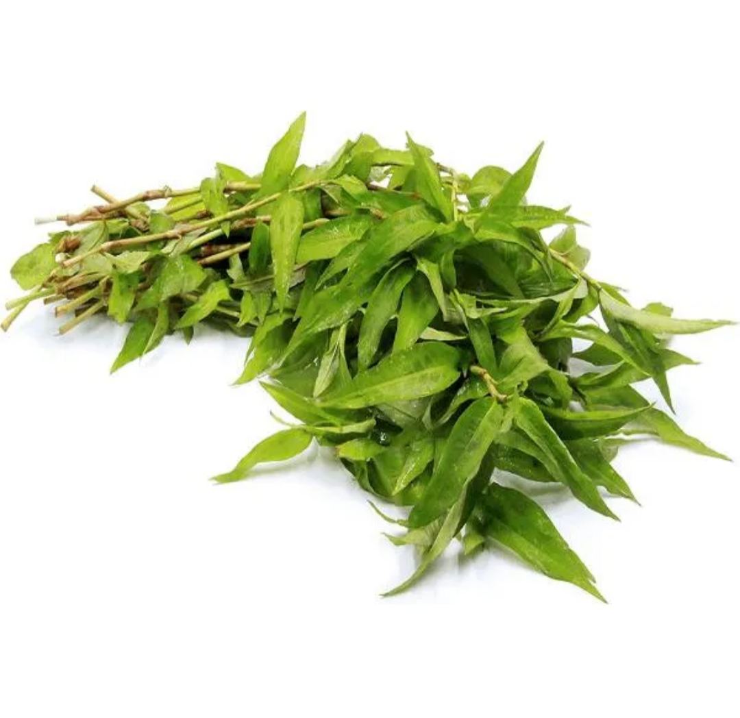 Daun Kesum Laksa Leaf_0
