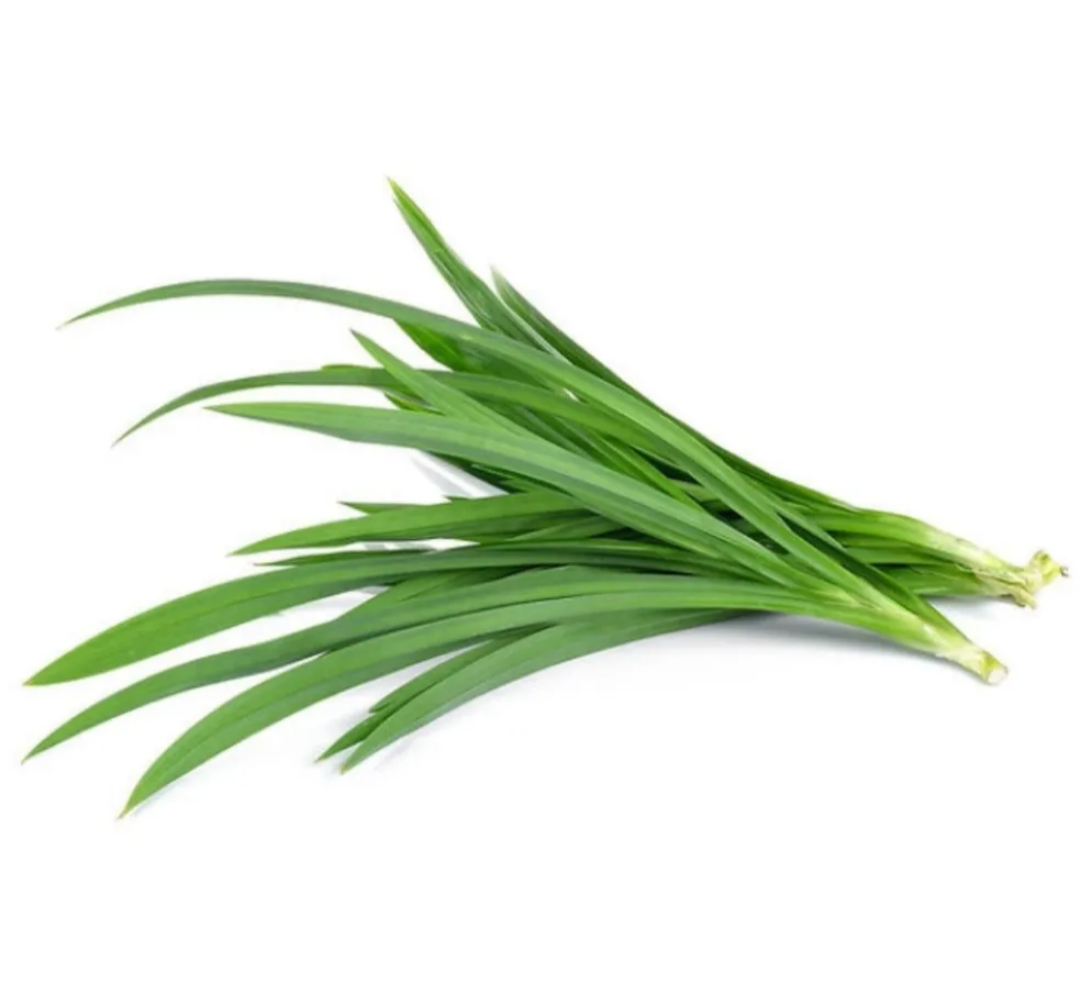 Daun Pandan Leaf_0
