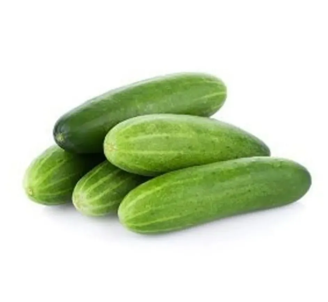 Timun_0