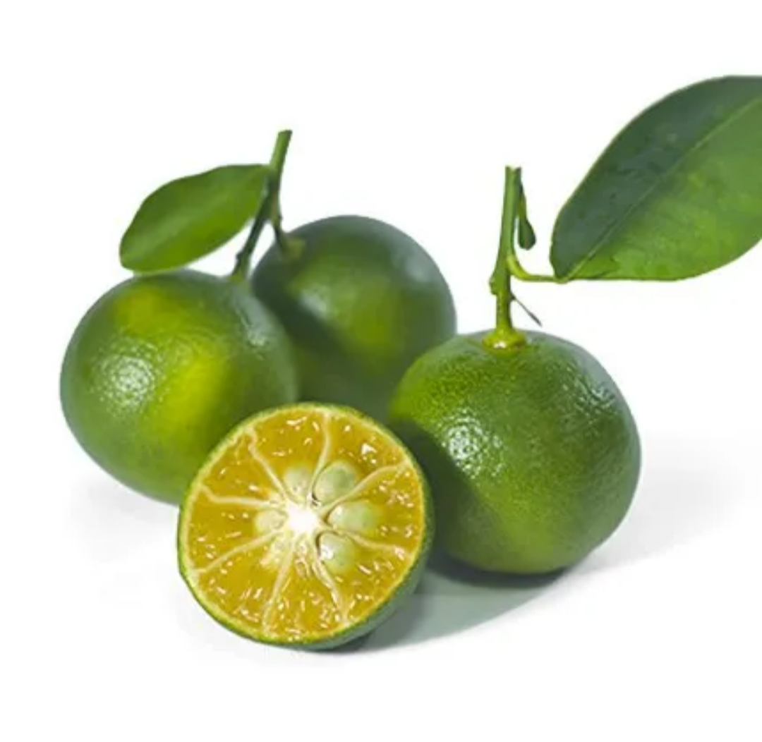 Limau Kasturi_0