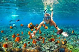 Local Activities