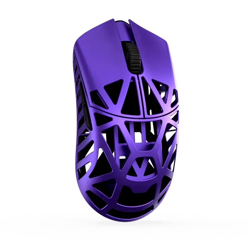 WL Mouse_3