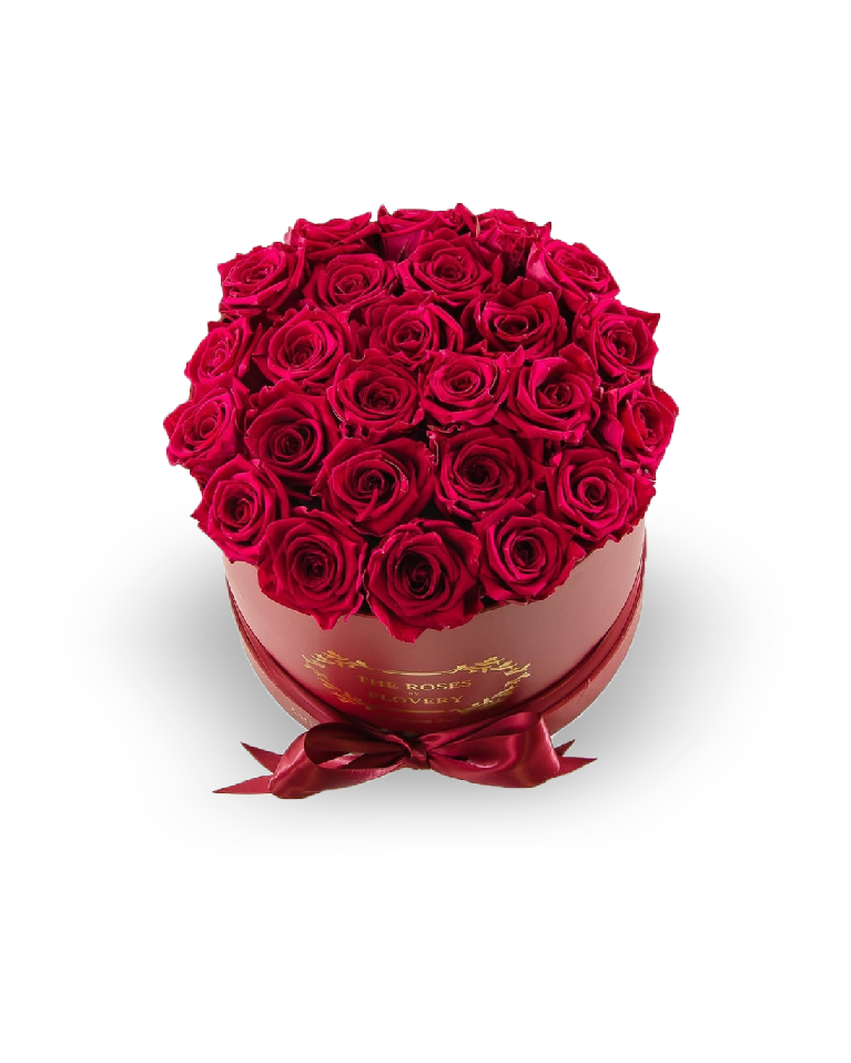 Rose Red Symphony_0