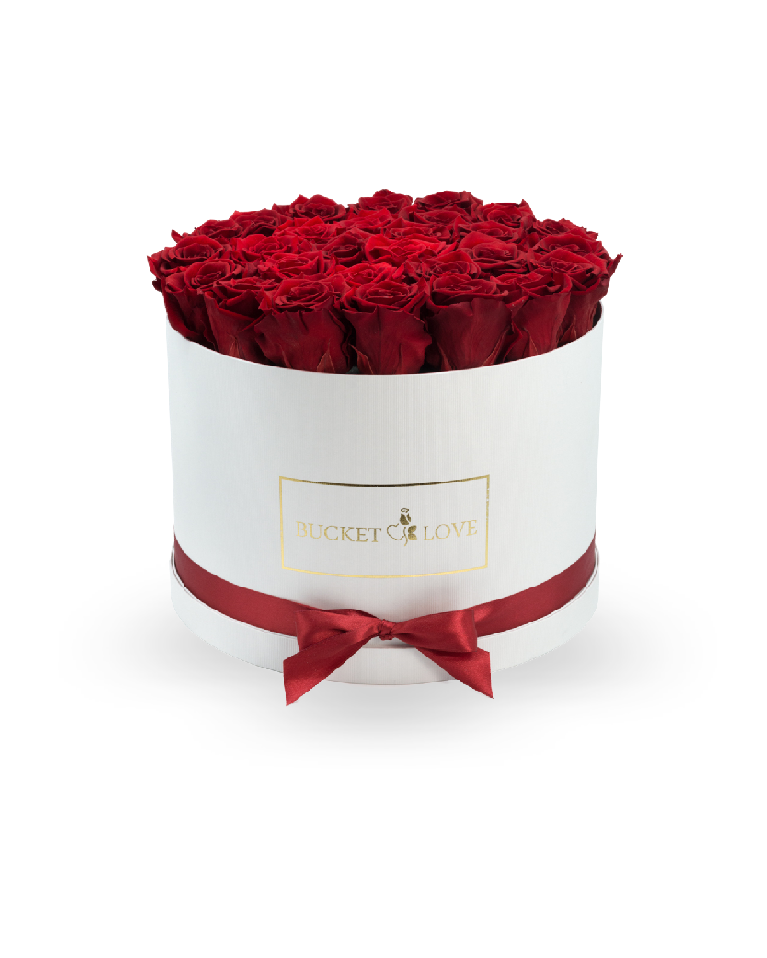Pure Crimson Elegance_0