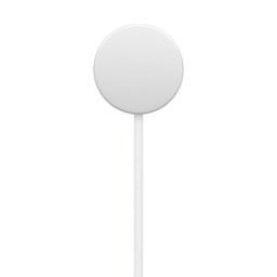 Apple Watch Magnetic Fast Charger to USB-C Cable (1m)
