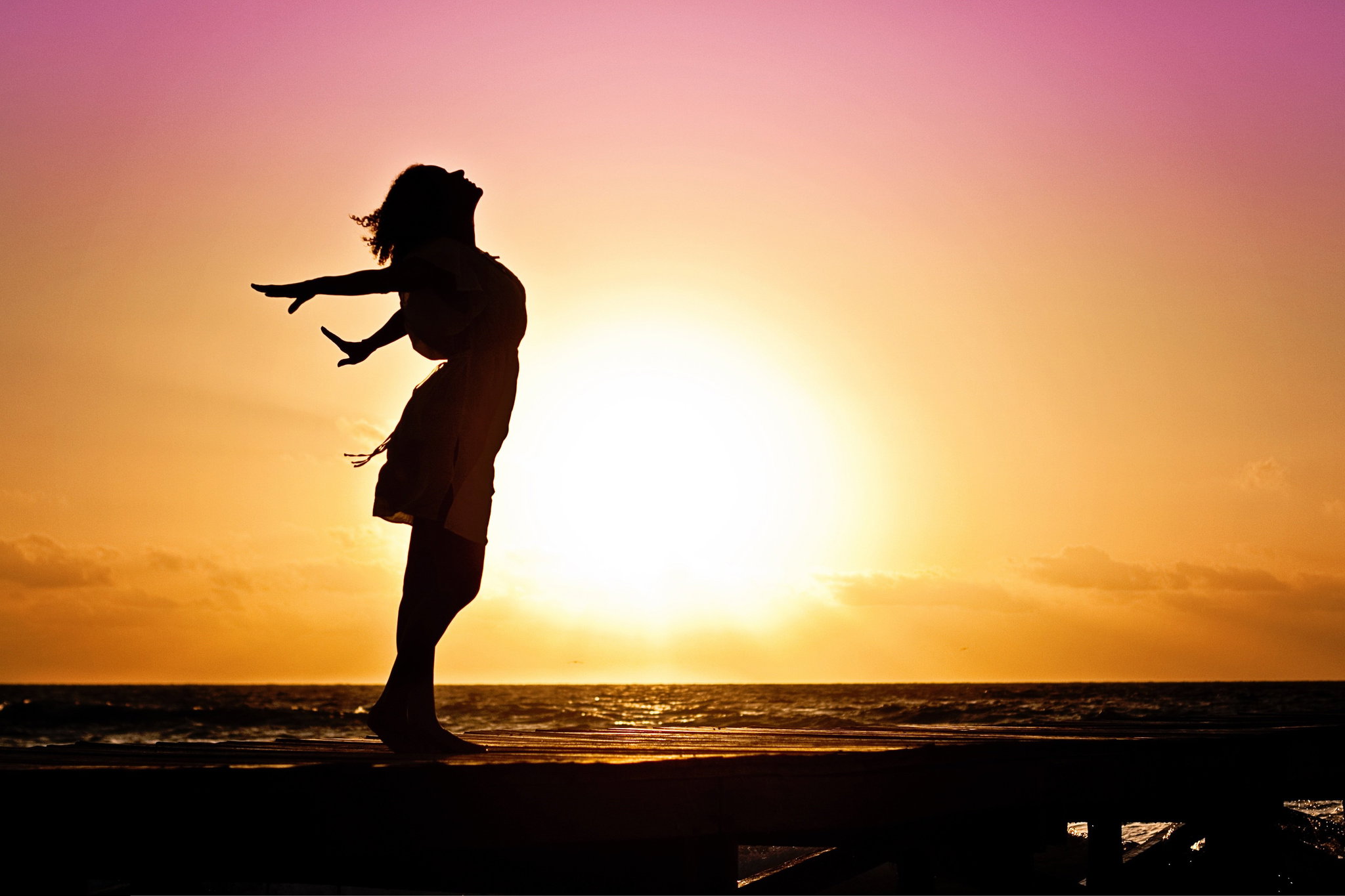 Wellness Therapy _0