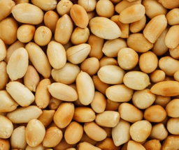 Peanut Fry 