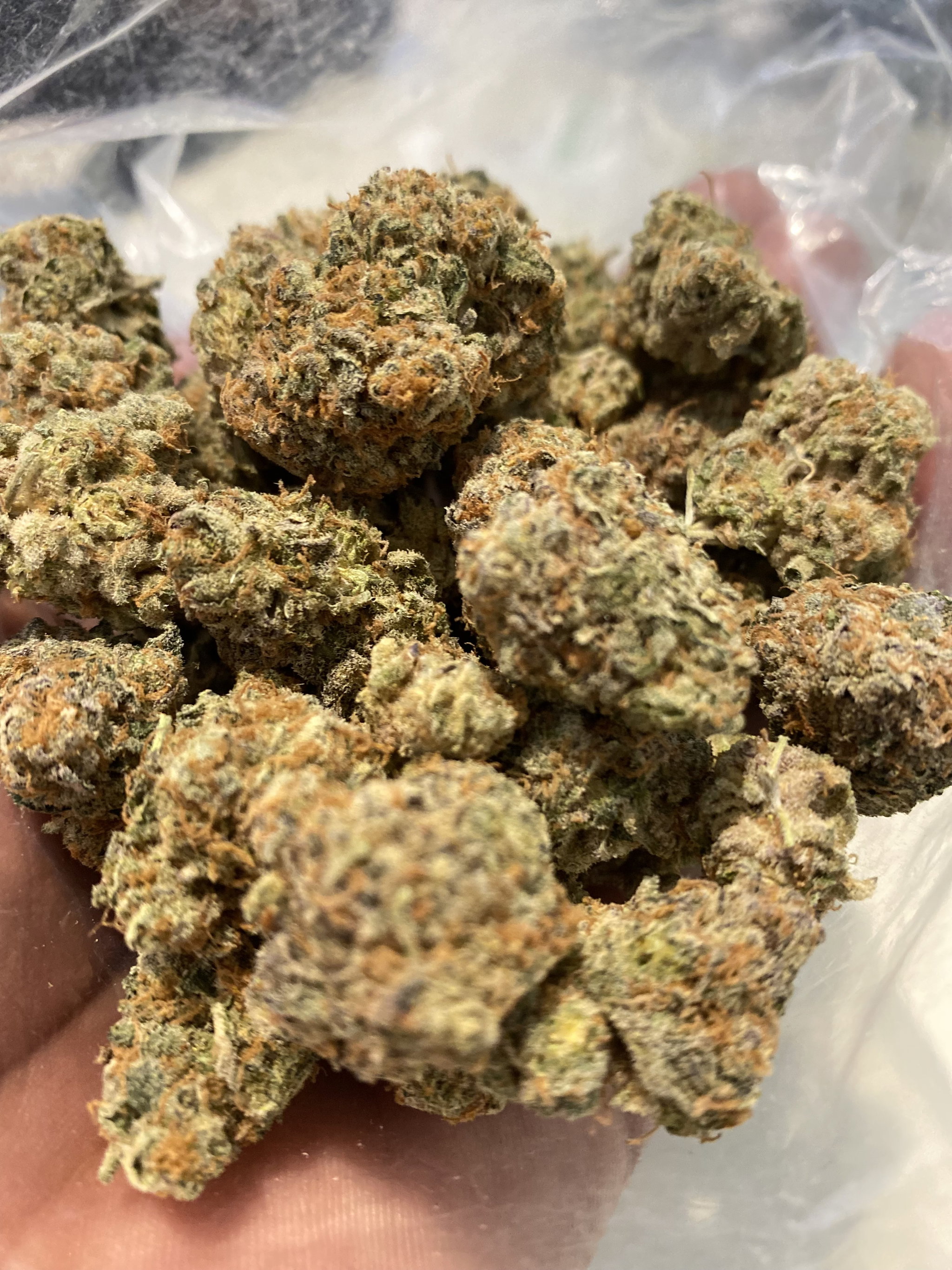 Sunset sherbet _0